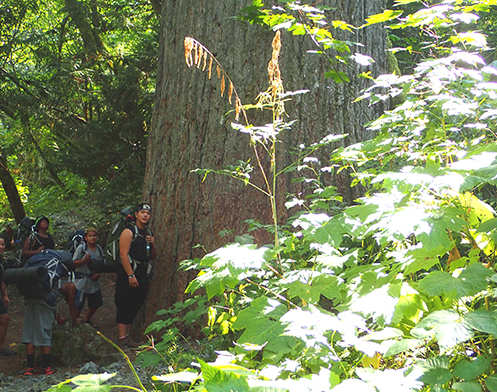 Natural Resources hikers reach big tree